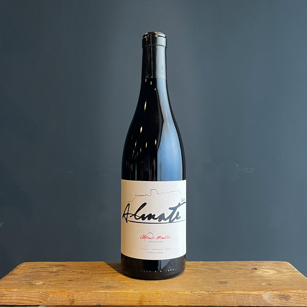 Maestro Terejo Vina Almate Tinto Joven 2022
